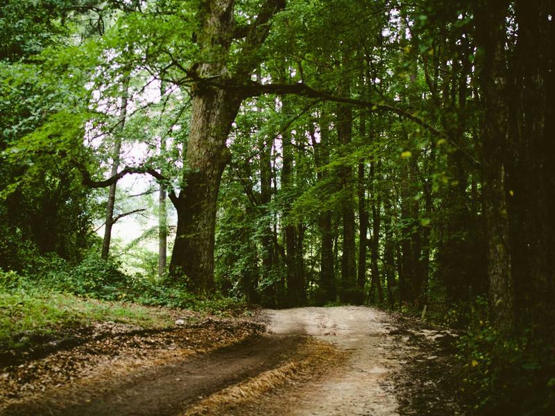 sudoku error checking screenshot 5