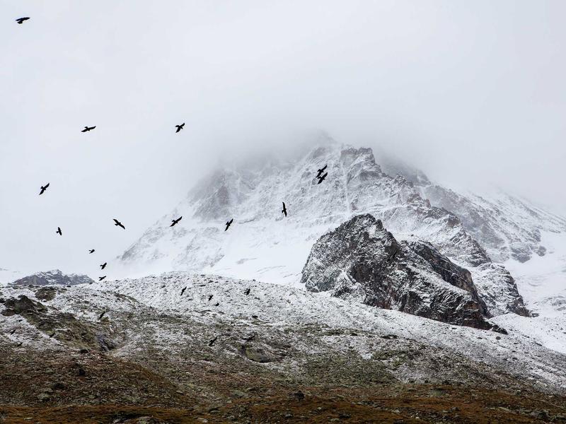 sudoku error checking